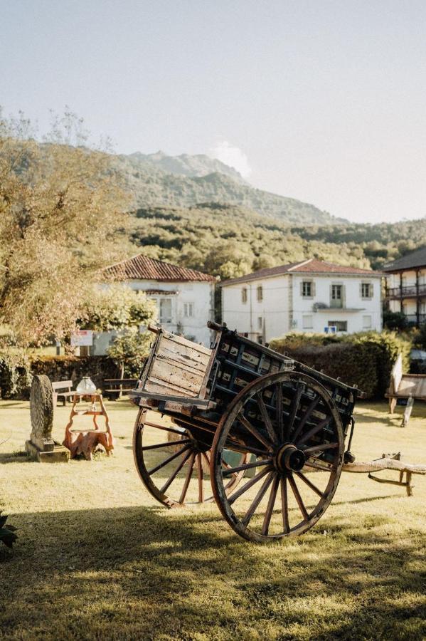 La Casa De Lastras * Ogarrio